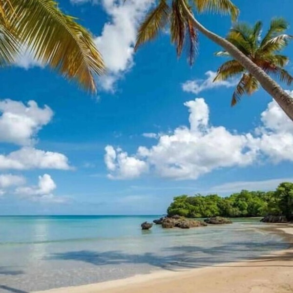 {The~Palms~View} @PlayaBonita +Beachfront+Pool+BBQ