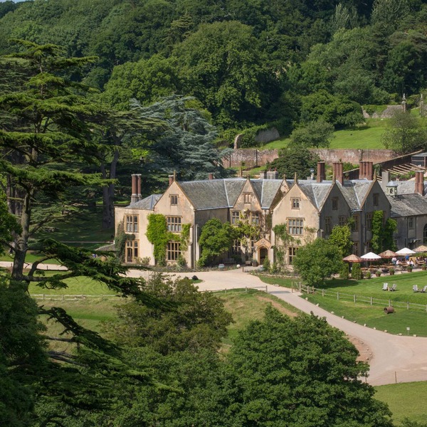 THE PIG at Combe - Devon