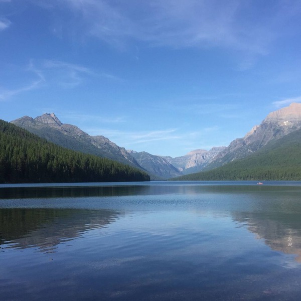 The Reclusive Moose Cabins