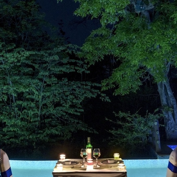 The Riverwood Forest Retreat - Pench