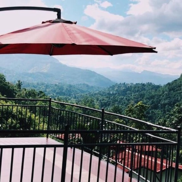 The Springfields Kandy