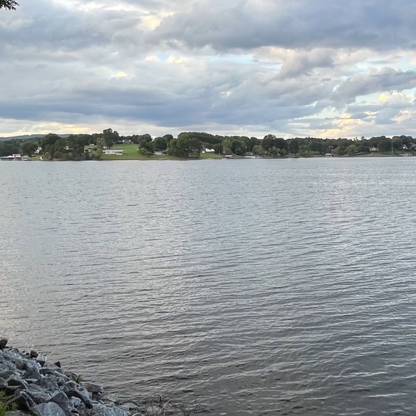 “The View” Lake Front Cottage w/Hot tub
