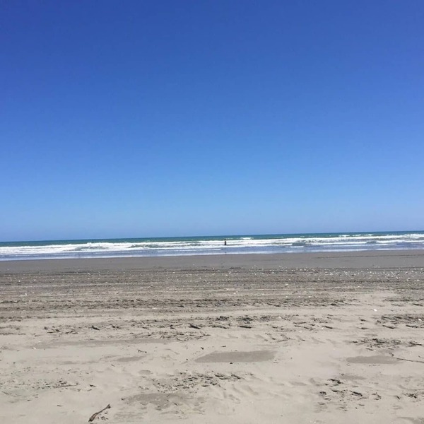 Tiny beach holiday house an hour from Wellington