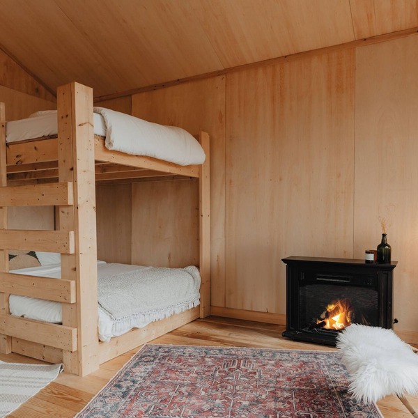 Tiny cabin amongst trees on a farm with alpacas