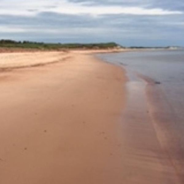 Tiny Perfect Cottage On PEI's North Shore