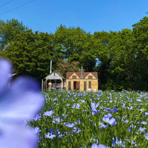 Tinywood Two, dog friendly with hot tub, sleeps six people in Warwick