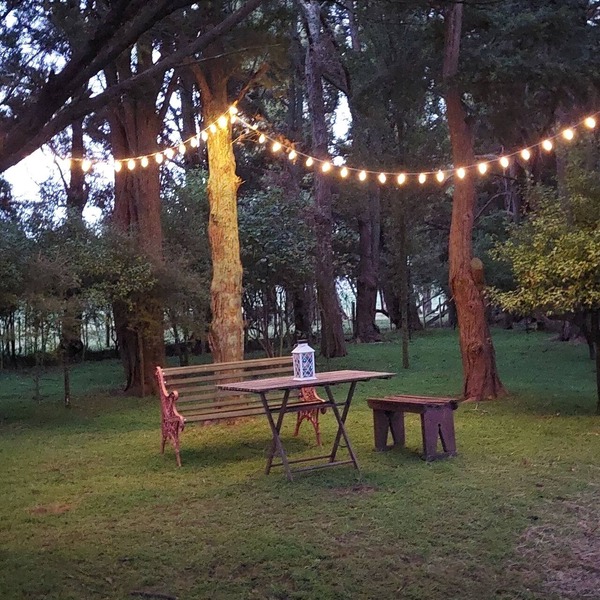 Totara Croft - a stargazers dream