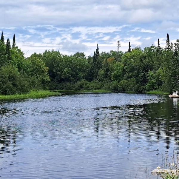 Tranquil, airy cottage just steps from the river with miles of boating fun!