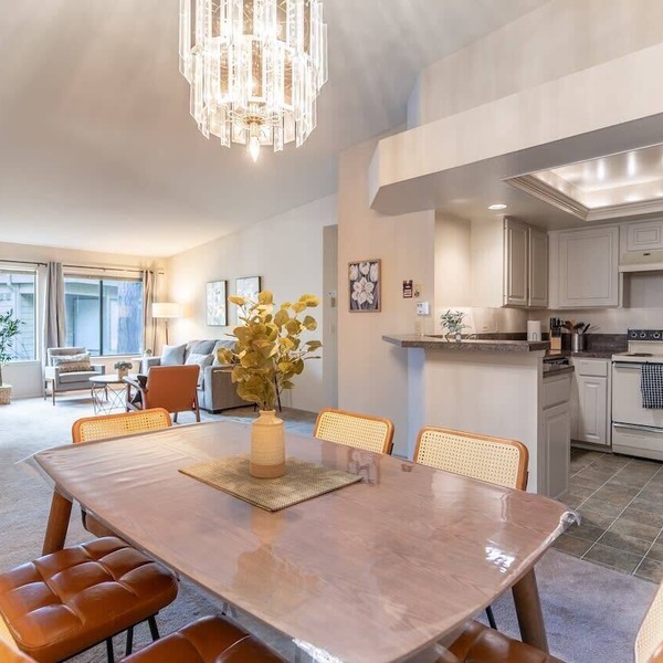 Tranquil Apt, 2 King Suites, Pet Friendly near DT Bellevue