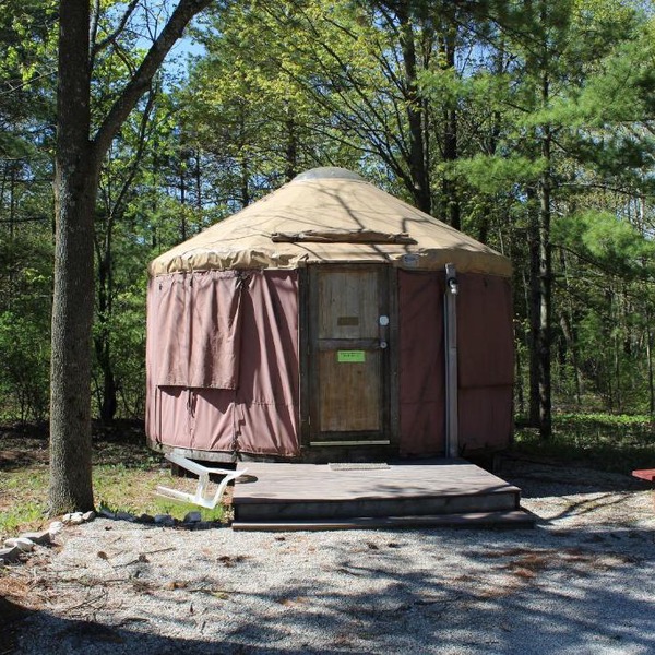 Tranquil Timbers Yurt 3