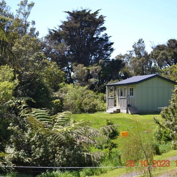 Tree Fuchsia Cabin