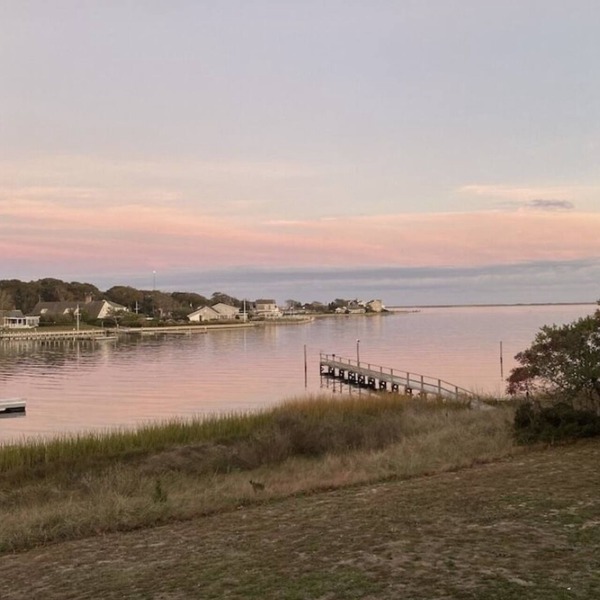 Tree lined Hideaway on the Bay