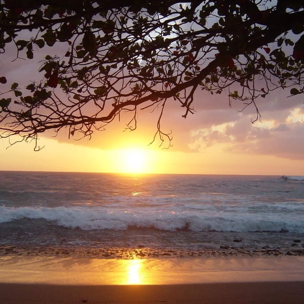 Tres Palmas Steps Beach-3 BRs ($250) or 6 BRs ($500) spectacular rooftop deck-AC