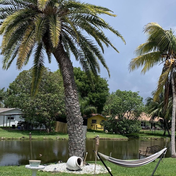 ☀️Tropical Pool&Water🌸Garden KingBed o 2 twins Best Sunset, Beach BBQ,Shop,Dine