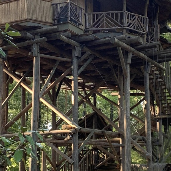 Tropical Treehouse surrounded by Jungle Gardens