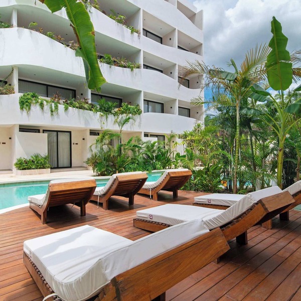 Tulum Jungle Studio with Pool + Temazcal & Gym
