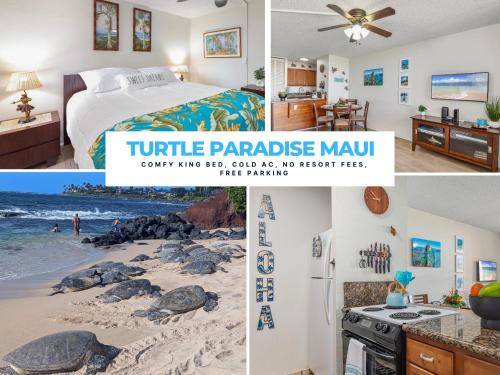 Turtle Paradise - King bed, AC, Across from Beach