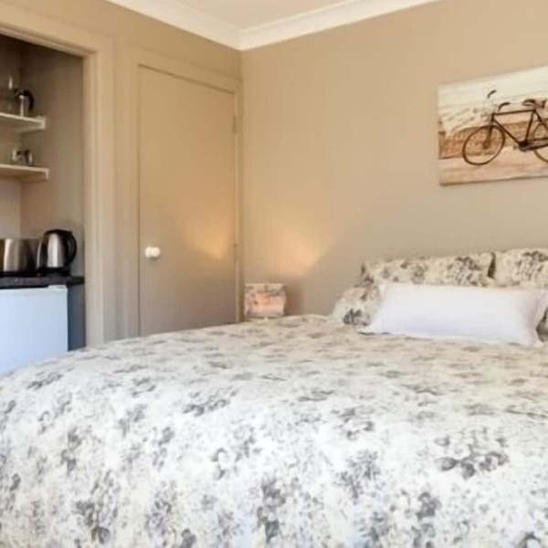 Two lovely King studio units