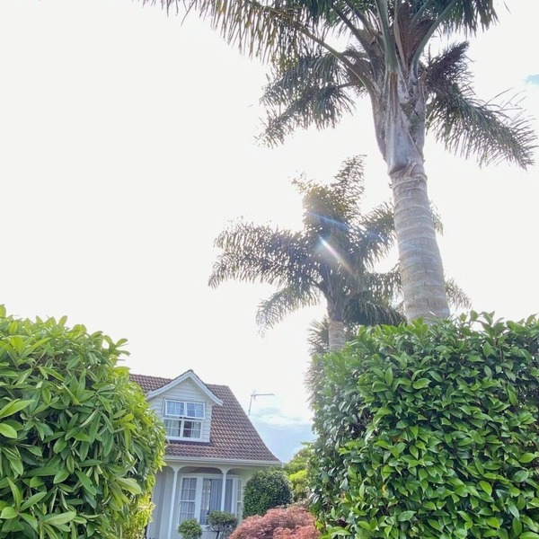 Two Palms Cambridge, peaceful and safe and pet friendly