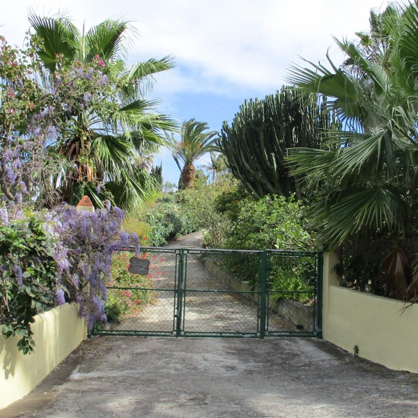 Typical Canary Cottage - Relaxation in the Botanical Garden
