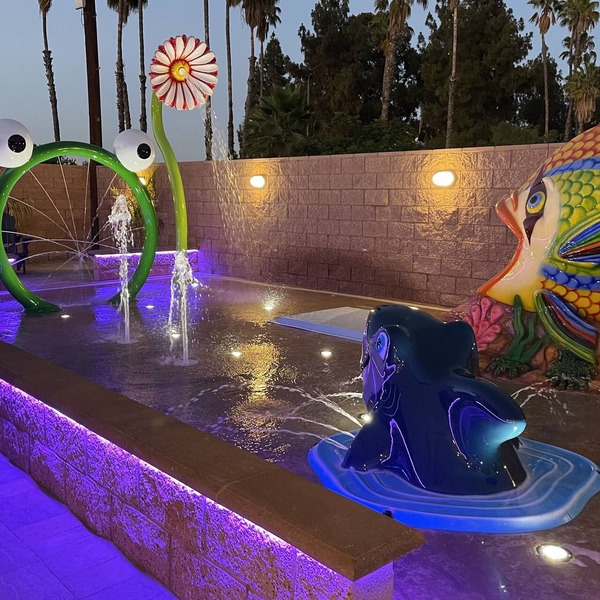 ULTIMATE PRIVATE WATER PARK & POOL Next Disneyland