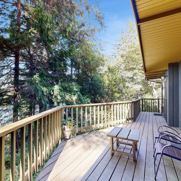 Unique lakefront cabin near the dunes with a private dock & fireplace