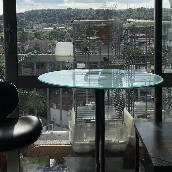 Unique view 15mn from Paris in safe and green neighborhood - spa and fiber wifi