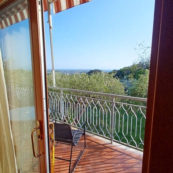 Verde Mare apartment with sea view surrounded by ancient olive trees animals allowed