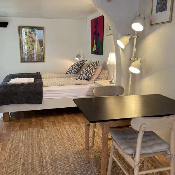 Very nice studio apartment in the city center