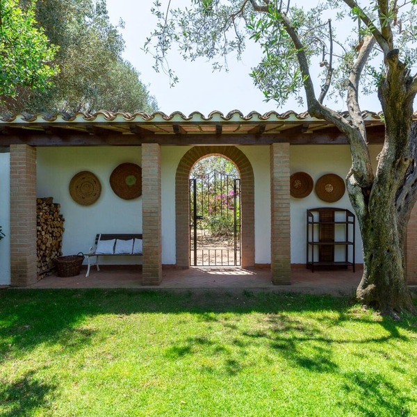 Villa among centuries-old olive trees just minutes from the sea
