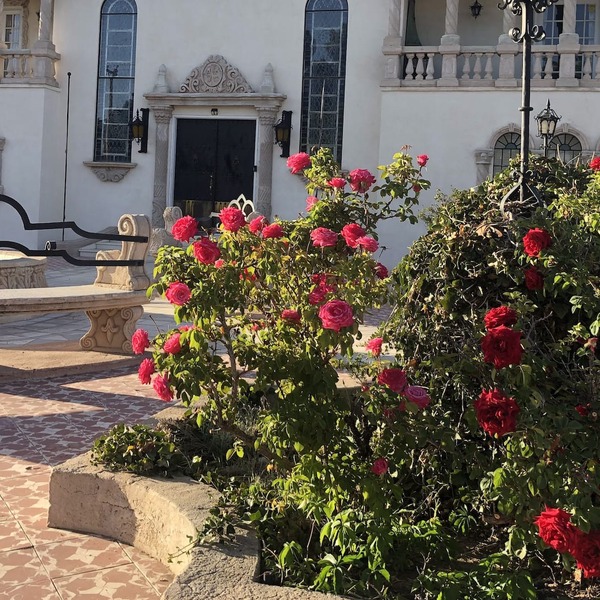 Villa de San Rafael & Guest House