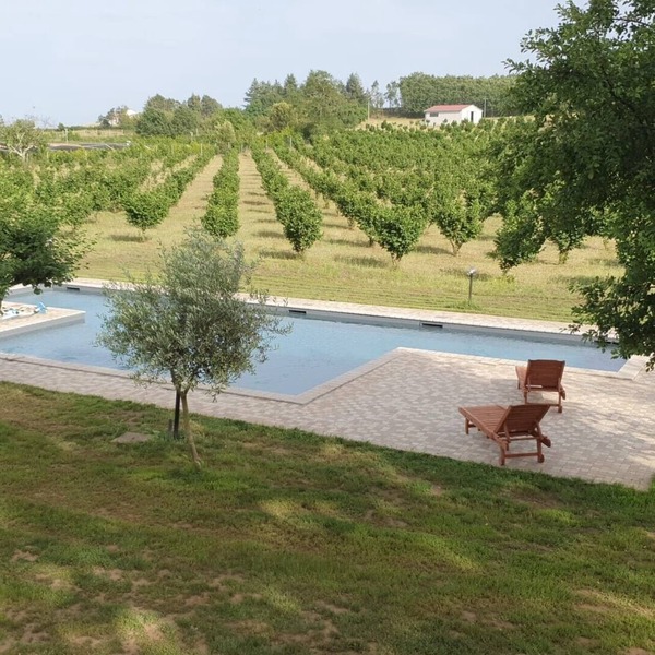 Villa "Domus Nirale" with Pool, Terrace & Wi-Fi