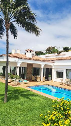 Villa Gecko