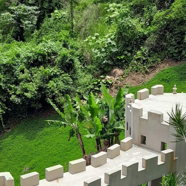Villa Gringo Farms