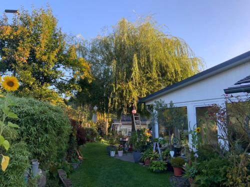 Villa Jani b&b