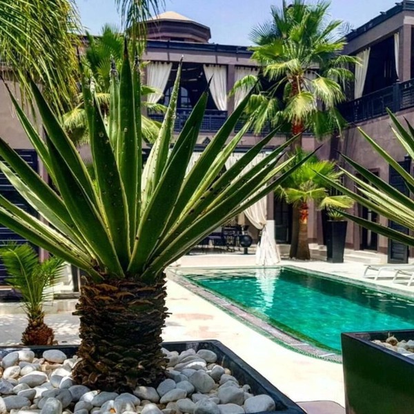 Villa Mano