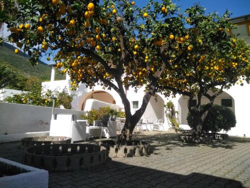 Villa Petrusa