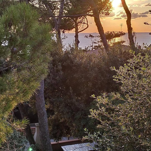 Villa surrounded by greenery at 300 meters from the sea