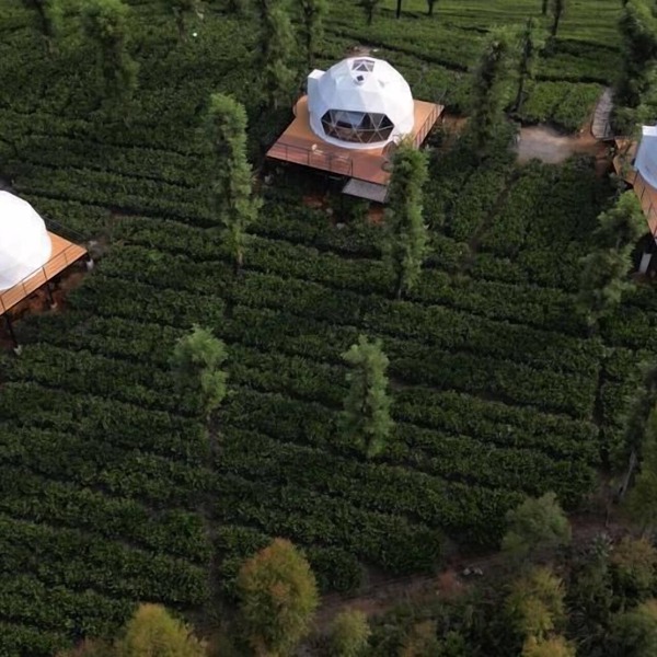 Vythiri Tea Valley