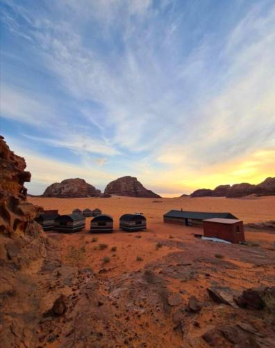Wadi Rum Local Guide