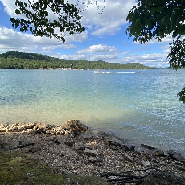 Water's Edge - literally ON Beaver Lake!