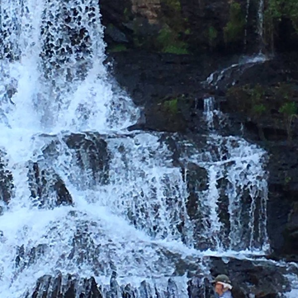 Waterfall Cottage within sight & sound of Cane Creek Falls, 2BR 2BA