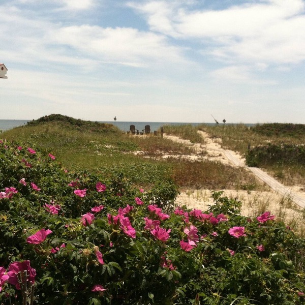 WATERFRONT COTTAGE WITH PRIVATE BEACH! On Beach Point in Truro. Not a condo.
