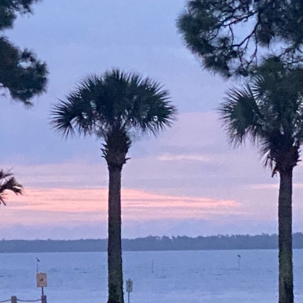 Waterfront on Ochlockonee Bay-Renovated condo & sparking pool