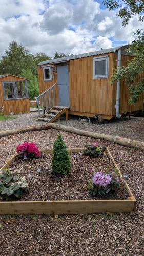 Waterloo Farm Shepherds Hut Glamping with Sun Lounge