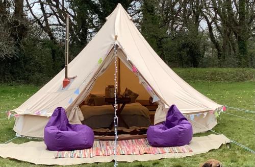 West Holme Glamping