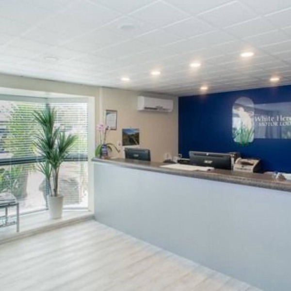 White Heron Motor Lodge