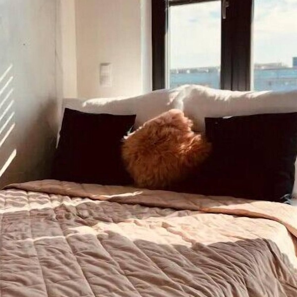 White Pearl Studio with free parking in Holešovice