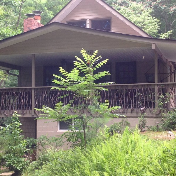 White Squirrel Lodge - Family friendly, pond & stream, breezy porches & wildlife