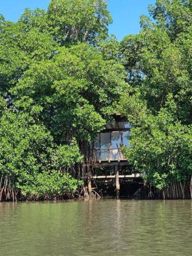 Willo's Treehouse